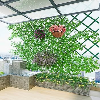 壁掛け 鉢 楽天市場】【最大6,000円クーポン配布中】壁掛け ハンギング
